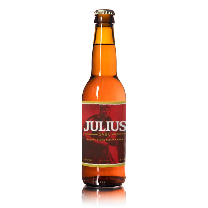 Julius 8.5% 24x33cl