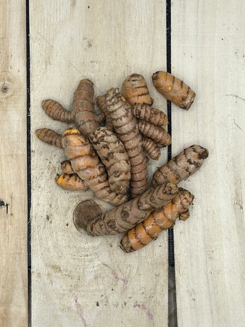 Curcuma Entier +/- 50gr