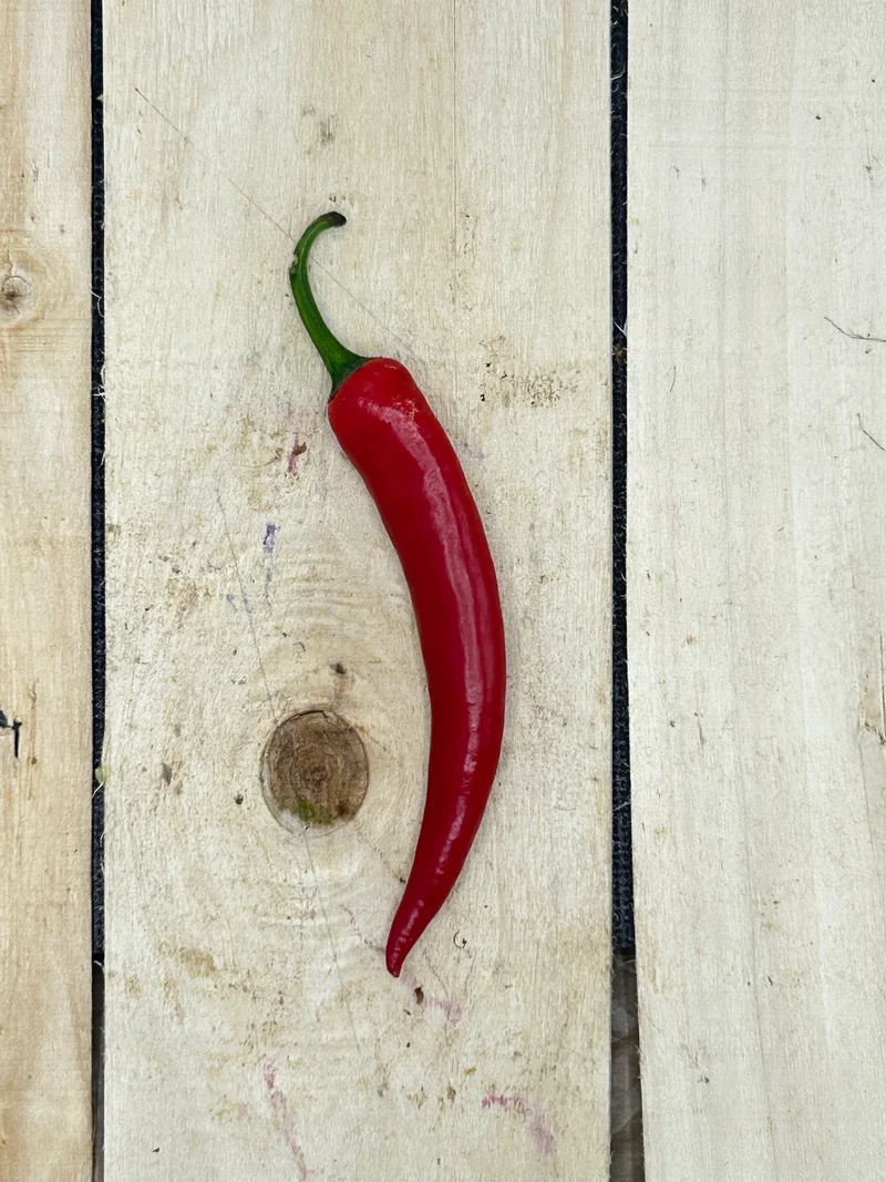 Piment Rouge / pièce (+/-25gr)