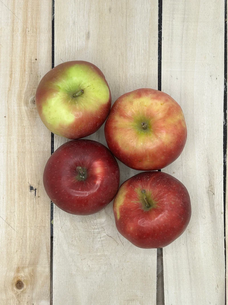 Pomme Jonagold +/- 1000gr