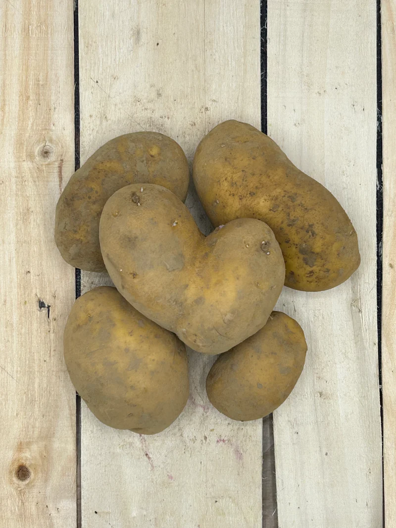 Pomme de terre Allians +/- 1000gr