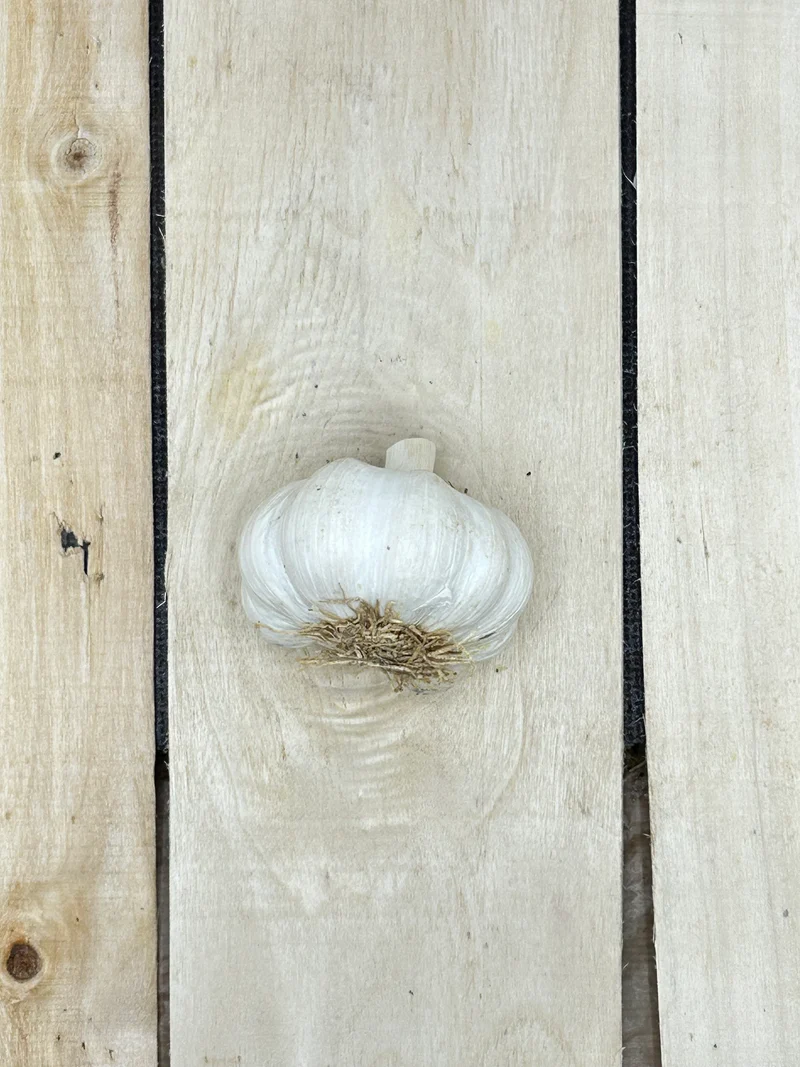 Ail Sec / pièce (+/-100gr)