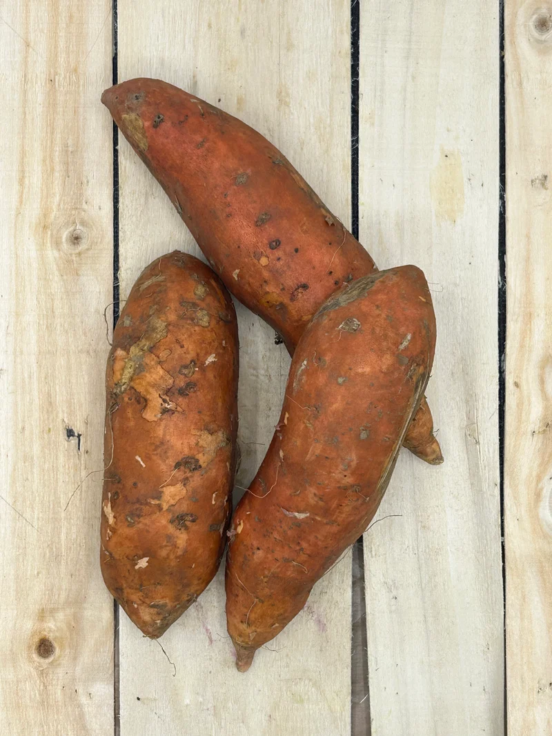Patate Douce +/- 1000gr