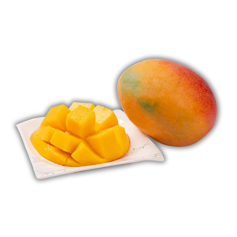 MANGUE DOM KG