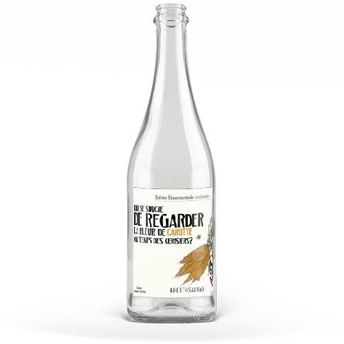 Qui se Soucie de Regarder la Fleur de Carotte au Temps des Cerisiers?