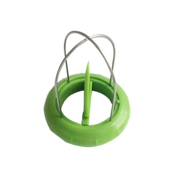 Éplucheur Kiwi