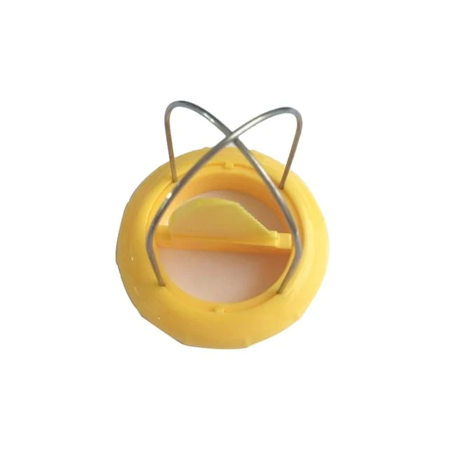 Éplucheur Kiwi