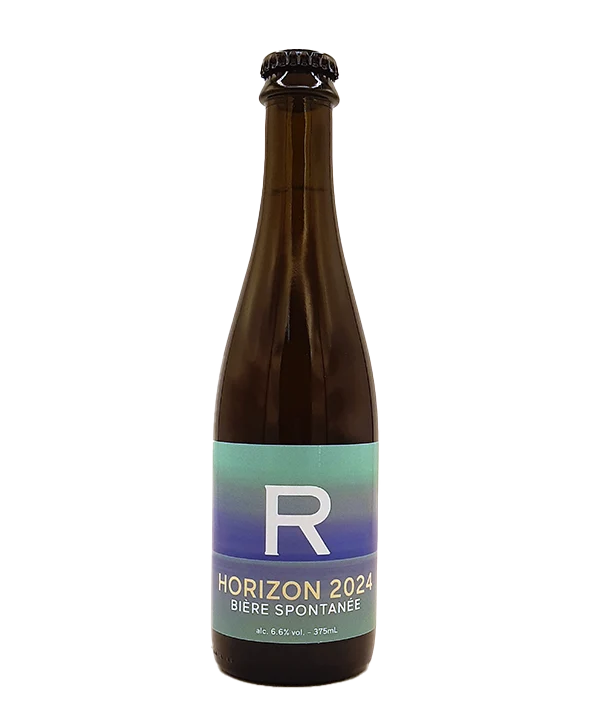 Horizon 2024