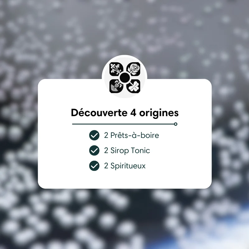 Boîte Découverte - Thé pétillants 4 origines