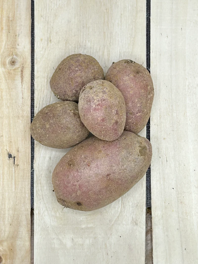 Pomme de terre Alouette +/- 1000gr