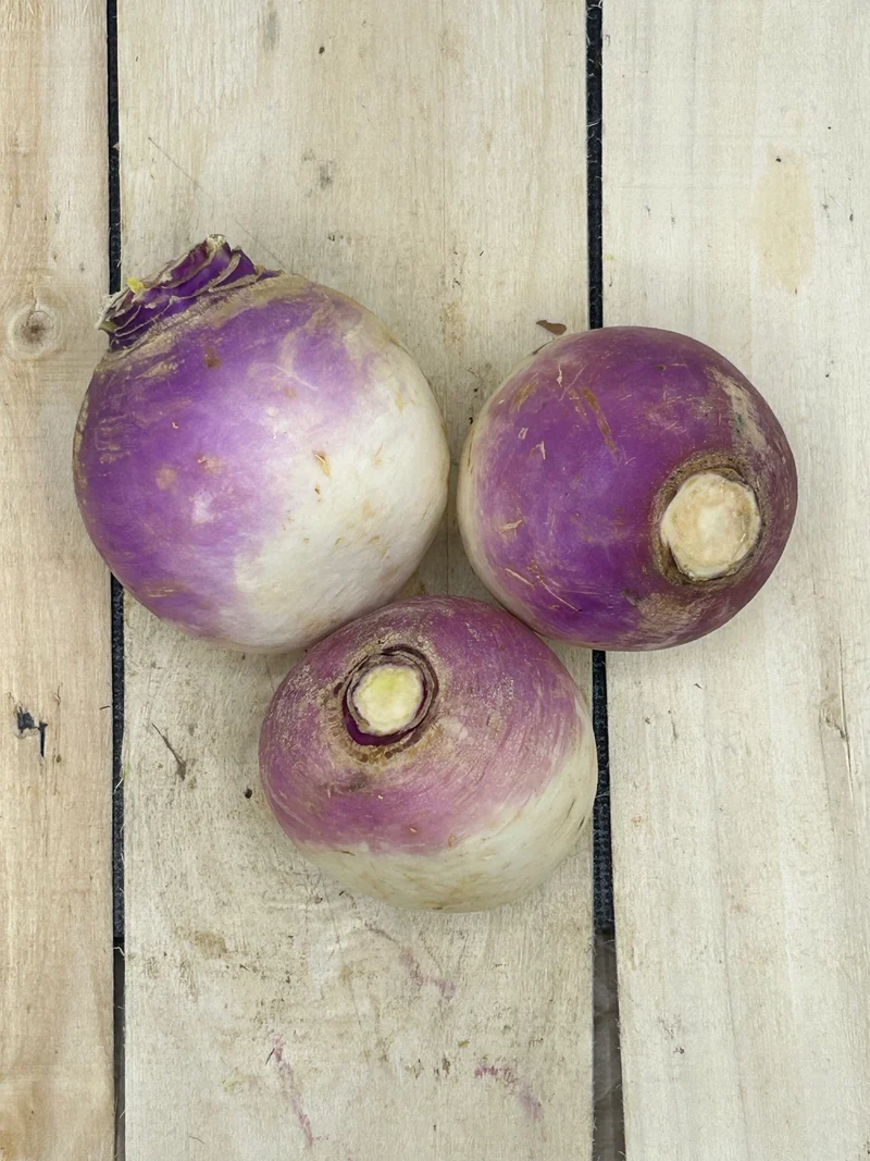 Navet Violet +/- 500gr