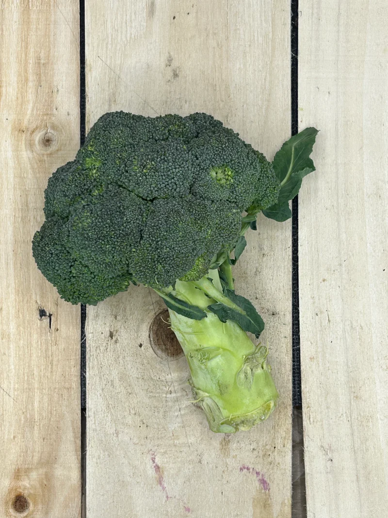 Brocoli / pièce (+/-350gr)
