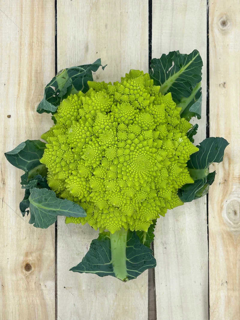 Chou Romanesco
