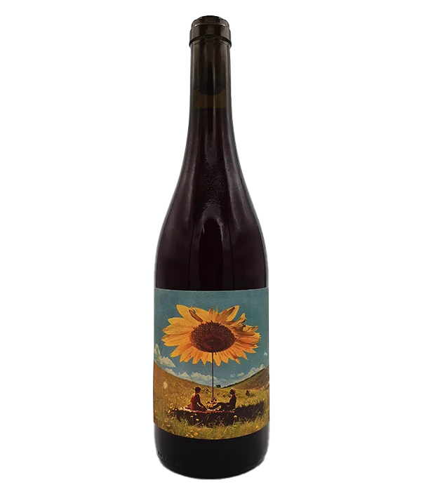 Sous le tournesol 2022