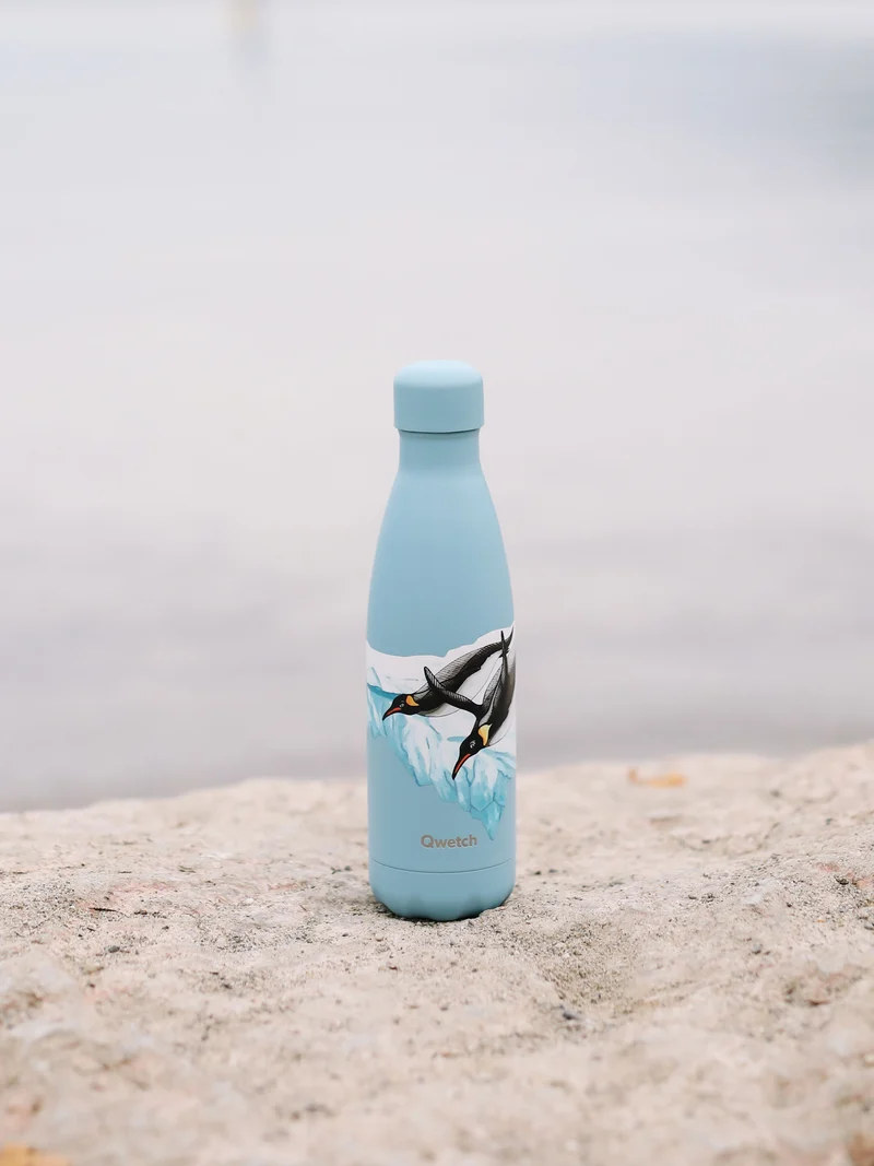 Bouteille isotherme - Originals Manchot