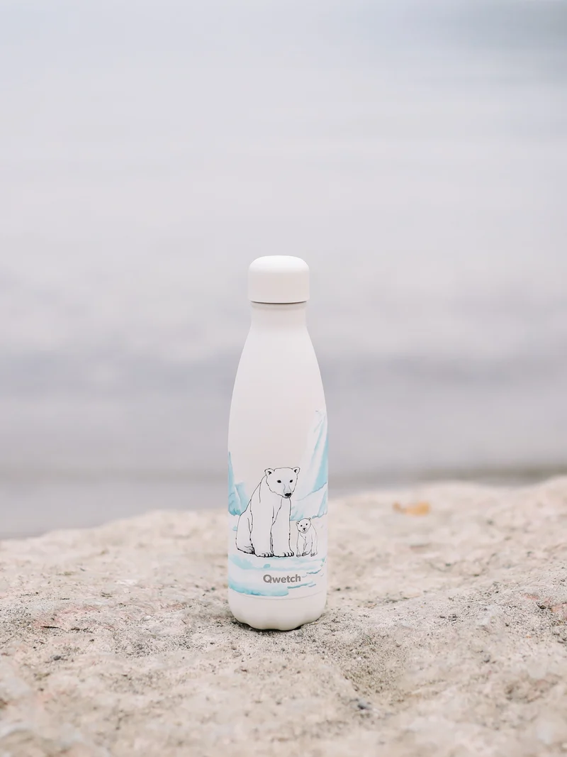 Bouteille isotherme - Originals Ours polaire