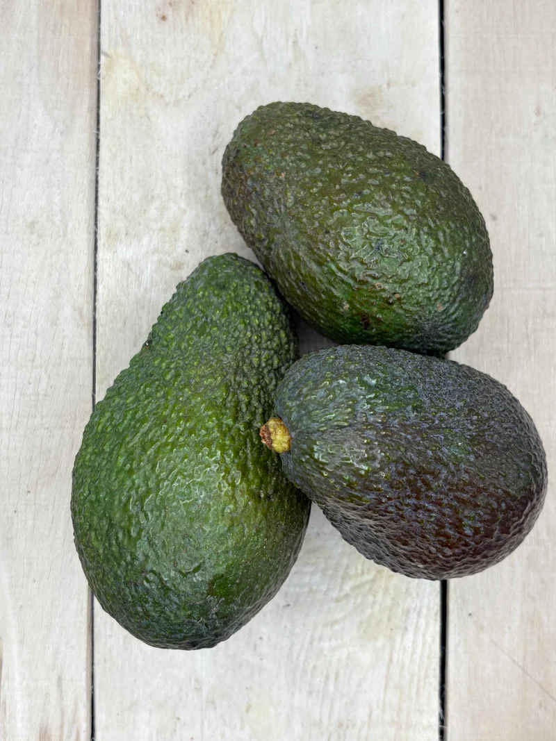 Avocat (variété : Bacon) / pièce (+/-350gr)