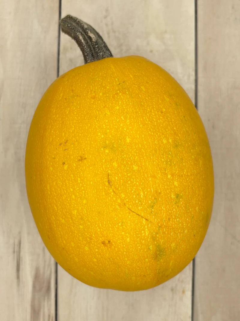 Courge Spaghetti / pièce (+/-1200gr)