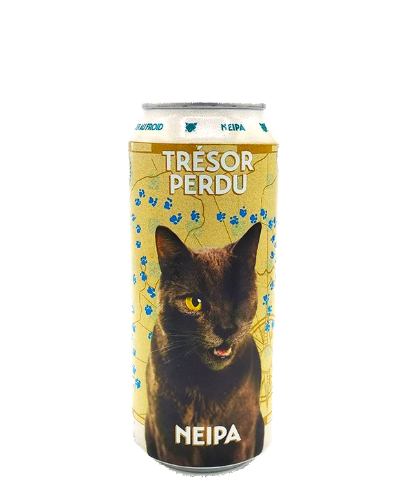 TRÉSOR PERDU