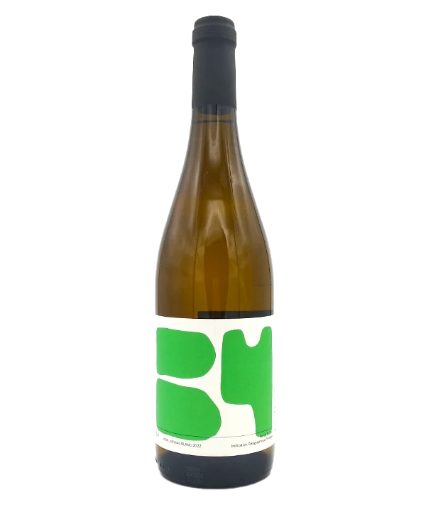 B4 - Vidal et Seyval Blanc bio