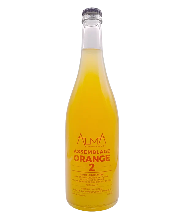 Assemblage Orange 2