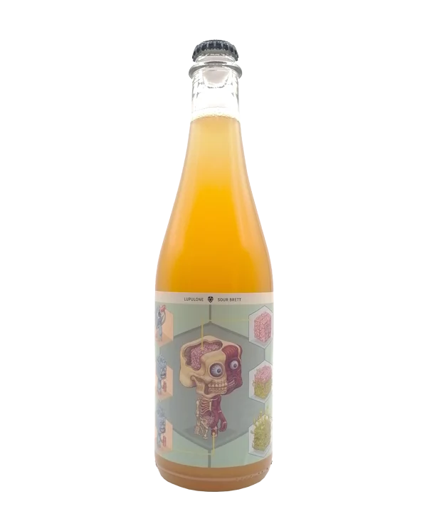 GABA