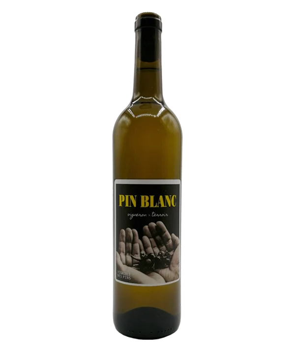 Pin blanc