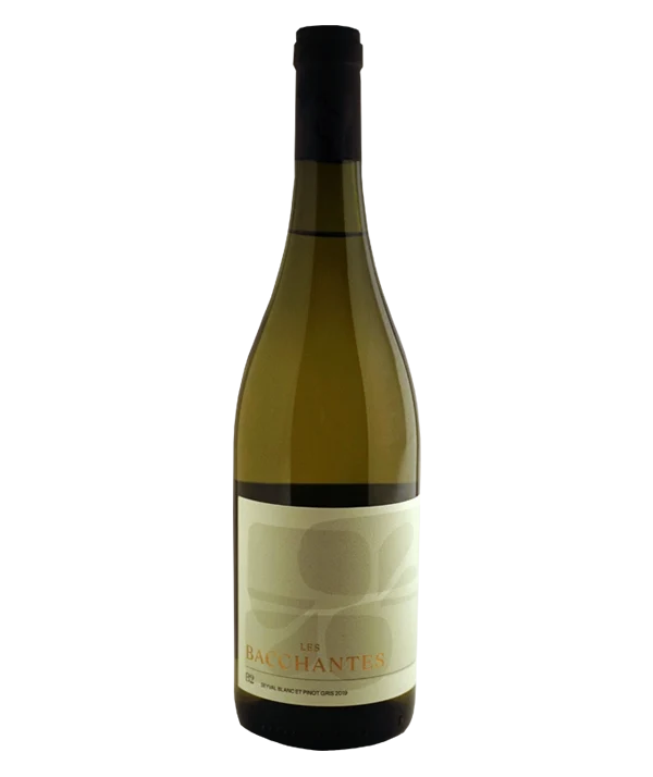 B2- seyval blanc et vidal